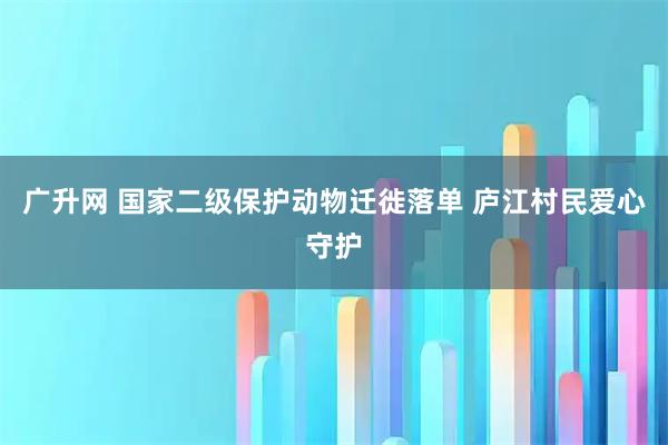 广升网 国家二级保护动物迁徙落单 庐江村民爱心守护