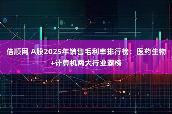 倍顺网 A股2025年销售毛利率排行榜：医药生物+计算机两大行业霸榜